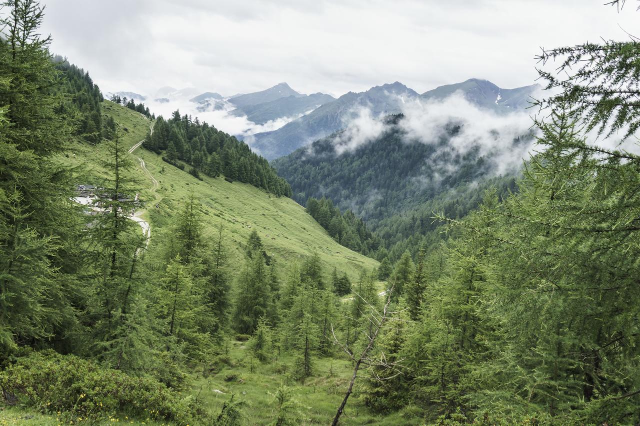 Gasthaus Furlhuette Βιπιτένο Εξωτερικό φωτογραφία